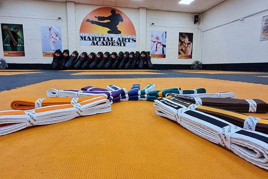 Mini Ninjas Colour Belt Gradings